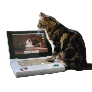 BRNX Rascador Catbook/Ccomputador Envío Express Boutique Premium