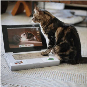 Brnx Rascador Catbook Computador | Laptop para Gatos | Felinova